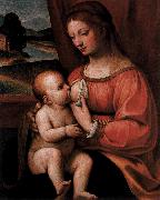 Bernadino Luini Nursing Madonna oil